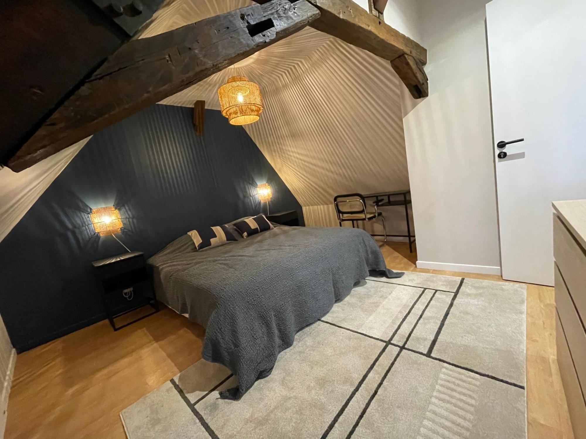 Le Petit Chateau Du Docteur Cambournac Bourges Exteriér fotografie
